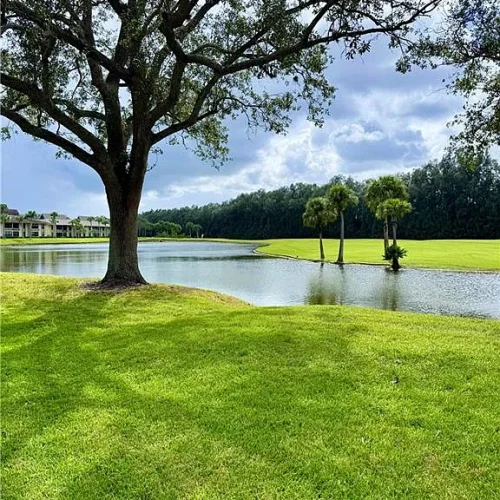 41299bc561222cf438fc926b0e429625-uncropped_scaled_within_1536_1152