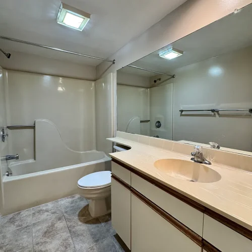 61394f8b7c5ecb4e69287ed1c3964a43-uncropped_scaled_within_1536_1152