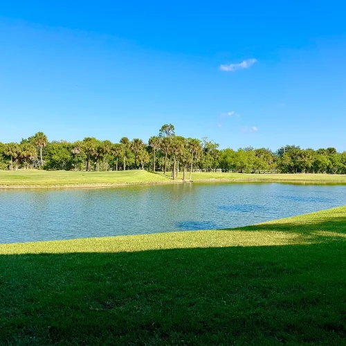 8d03f016d6a23ce56786b4efdd4de13e-uncropped_scaled_within_1536_1152