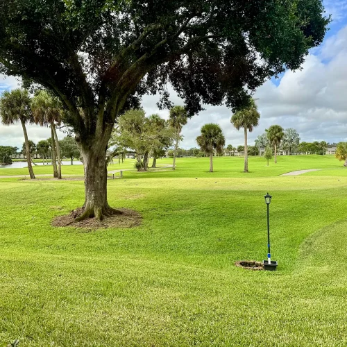 92594c19fc6b1623f6f6907e2cdcac01-uncropped_scaled_within_1536_1152