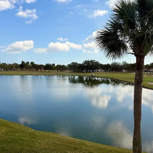 bb03689c207316dd0f7150b977682ce8-uncropped_scaled_within_1536_1152